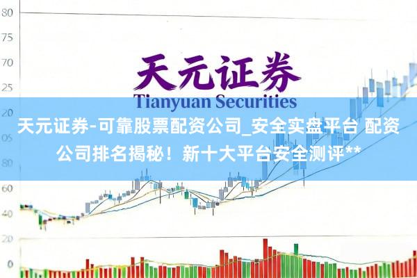 天元证券-可靠股票配资公司_安全实盘平台 配资公司排名揭秘！新十大平台安全测评**